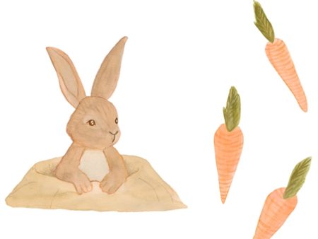 That s Mine Multi Wall Stickers Bunny and Carrots Online Hot Sale